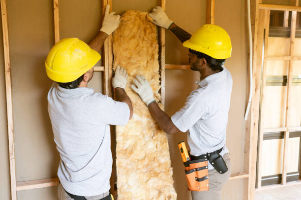 Best Attic Insulation Installation  in Stockton, IL